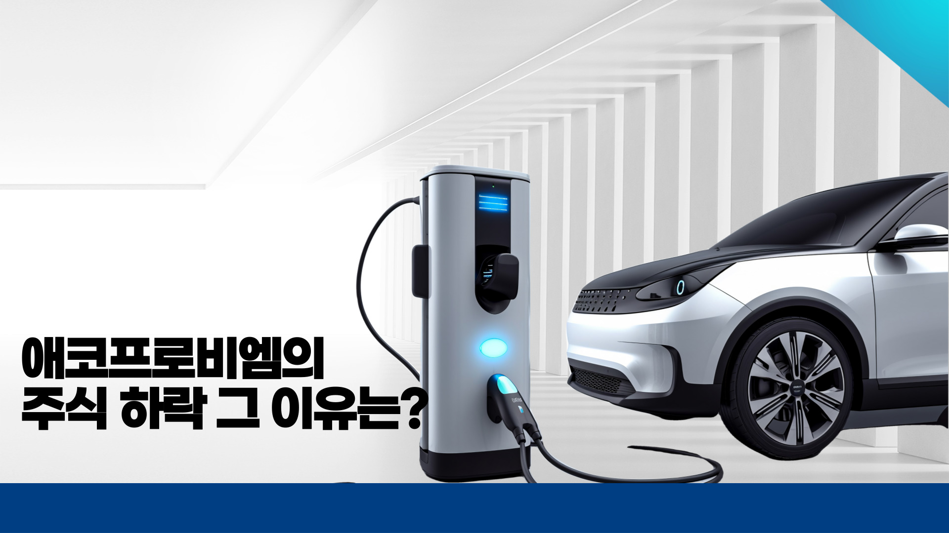 애코프로비엠 주식 하락의 개요