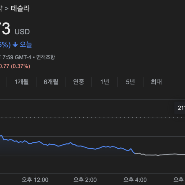 테슬라 주가전망