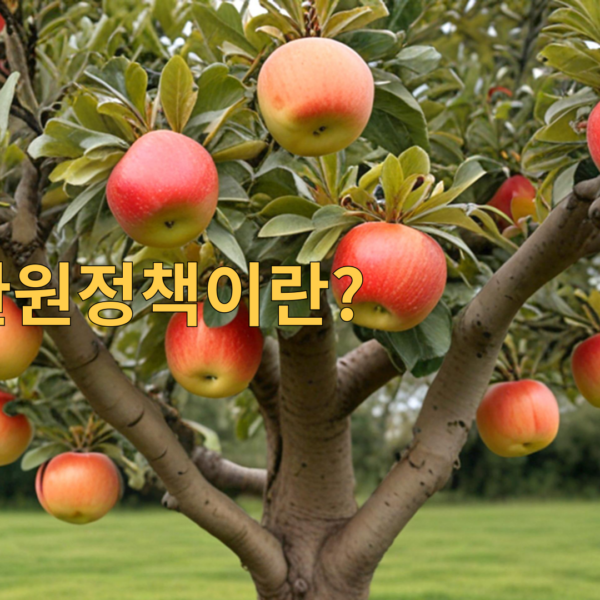 주주환원정책이란?