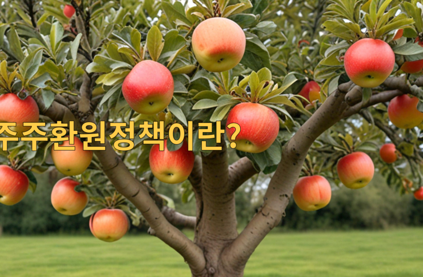 주주환원정책이란?