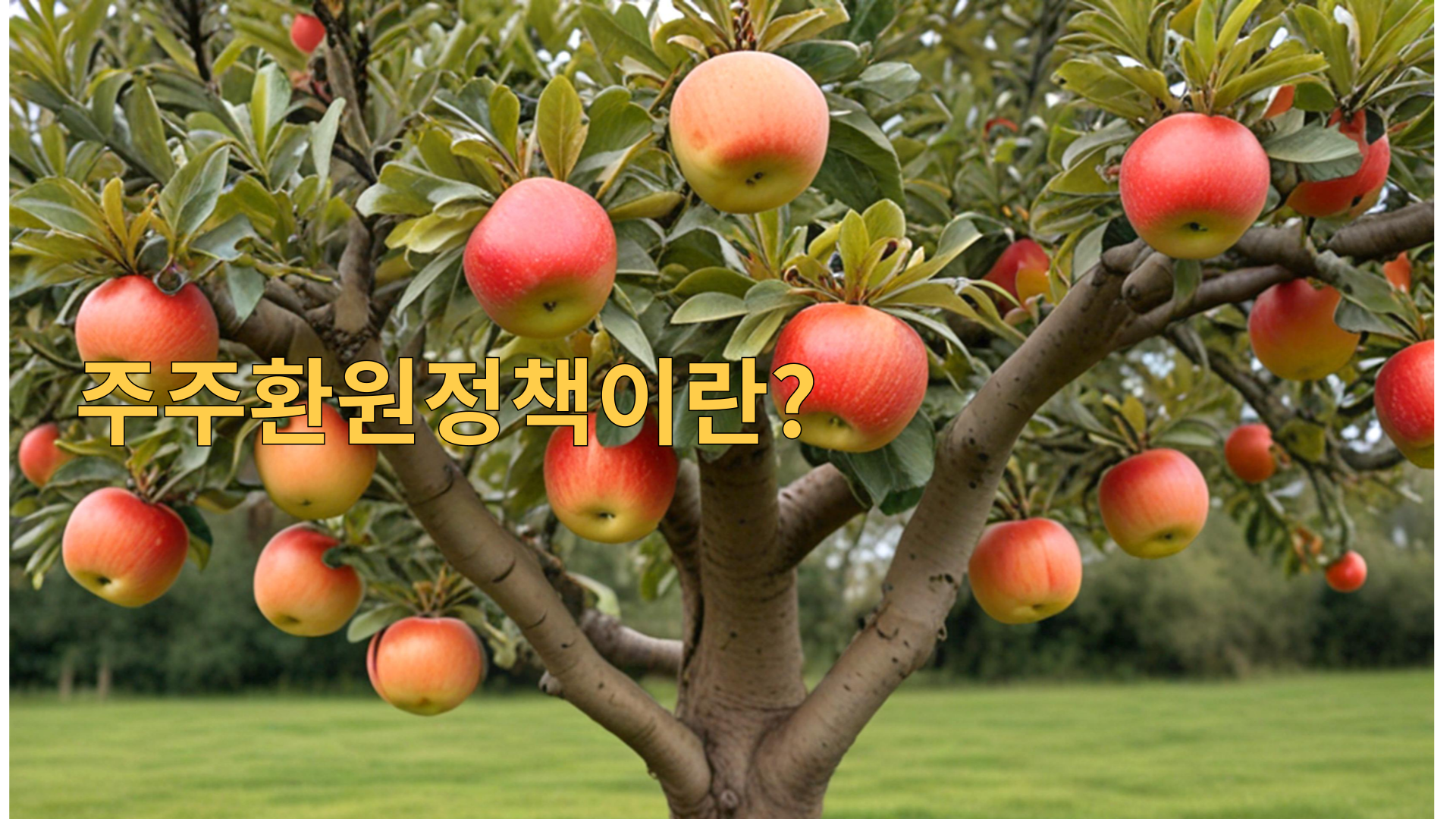 주주환원정책이란?