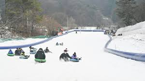 초리골 눈썰매장 예약하기 2