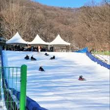 초리골 눈썰매장 예약하기 3